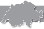YDCONTROLE 100% SUISSE